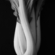 Even bok choy can look different in the eye of the right photographer.